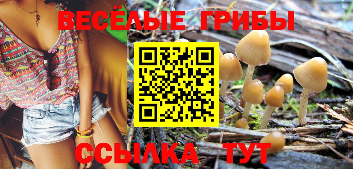 Карпинск  Псилоцибиновые грибы Cubensis  Вход с VPN  Псилоцибиновые грибы мухоморы 